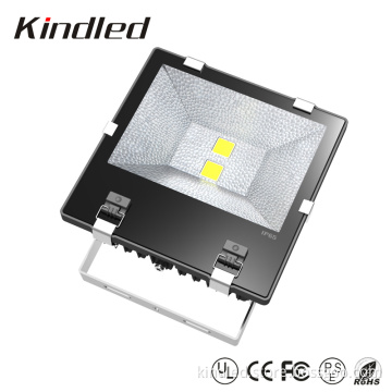 Bridgelex High Power COB 120W LED Floodlight with CE and RoHS Approved